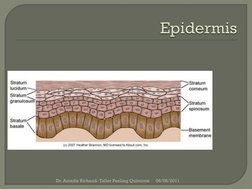 06/08/2011
Dr. Amadiz Richaud- Taller Peeling Químicos
