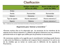 Clasificación 
Antigua clasificación 
(Antes del 2005) 
Nueva clasificación (A 
partir del 2005) 
Orden 
- 
- 
Familia 
Picor