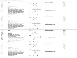 Vitals / I&O  Phys Exam  labs (CBC, BMP, other, imaging) 
     / 
 
VS:     
Tmax 
HR 
BP 
 
RR 
O2 
I/O 
Phys Exam: 
Eyes: