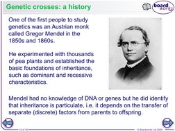 10 of 45
© Boardworks Ltd 2009
Genetic crosses: a history
One of the first people to study 
genetics was an Austrian monk 
ca