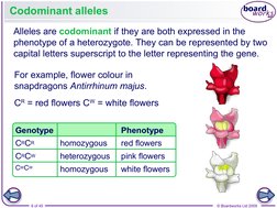 6 of 45
© Boardworks Ltd 2009
Genotype
Phenotype
Codominant alleles
Alleles are codominant if they are both expressed in the