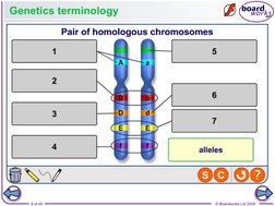 8 of 45
© Boardworks Ltd 2009
Genetics terminology
