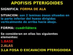 APOFISIS PTERIGOIDES
SIGNIFICA: FORMA DE ALA
SITUACION: son 2 laminas óseas situadas en 
la parte inferior del hueso dirigida