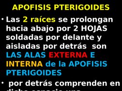 APOFISIS PTERIGOIDES
• Las 2 raíces se prolongan 
hacia abajo por 2 HOJAS 
soldadas por delante y 
aisladas por detrás  son