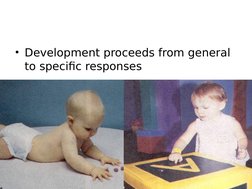 • Development proceeds from general 
to specific responses
