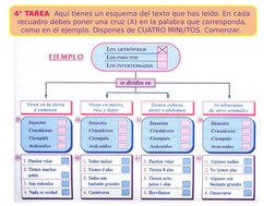 4° TAREA  Aquí tienes un esquema del texto que has leído. En cada 
recuadro debes poner una cruz (X) en la palabra que corres