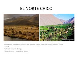 Fauna y flora del norte chico de Chile | PDF | Novela negra, policíaca ...