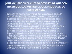 ¿QUÉ OCURRE EN EL CUERPO DESPUÉS DE QUE SON 
INGERIDOS LOS MICROBIOS QUE PRODUCEN LA 
ENFERMEDAD?
Después de que son ingerido