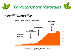 Características del Norte Chico de Chile | PDF | Andes | Geomorfología