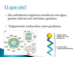 São substâncias orgânicas insolúveis em água, 
porém solúveis em solventes apolares;
Vulgarmente conhecidos como gorduras;
