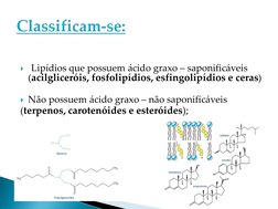 Lipídios que possuem ácido graxo – saponificáveis 
(acilgliceróis, fosfolipídios, esfingolipídios e ceras)
Não possuem ácid