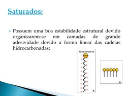 Possuem uma boa estabilidade estrutural devido
organizarem-se
em
camadas
de
grande
adesividade devido a forma linear das cad