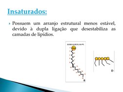 Possuem um arranjo estrutural menos estável,
devido
à
dupla
ligação
que
desestabiliza
as
camadas de lipídios.
