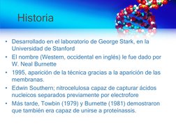 Historia
• Desarrollado en el laboratorio de George Stark, en la 
Universidad de Stanford
• El nombre (Western, occidental en