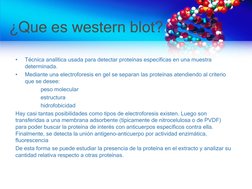 ¿Que es western blot?
•
Técnica analítica usada para detectar proteínas específicas en una muestra 
determinada.
•
Mediante u