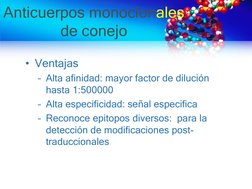 Anticuerpos monoclonales
de conejo 
• Ventajas 
– Alta afinidad: mayor factor de dilución 
hasta 1:500000
– Alta especificida