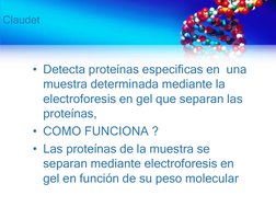 Claudet
• Detecta proteínas especificas en  una 
muestra determinada mediante la 
electroforesis en gel que separan las 
prot