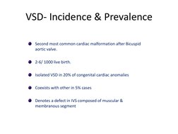 Vsd Incedence Ventricular Septal Defect Overview | PDF | Congenital Heart Defect ...