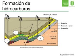 Zuly Calderón Carrillo
Formación de 
hidrocarburos
http://cienciahoy.org.ar/wp-content/uploads/007-001.jpg
