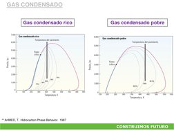 CONSTRUIMOS FUTURO   
Gas condensado pobre
Gas condensado rico
** AHMED, T.  Hidrocarbon Phase Behavior.  1987
GAS CONDENSADO