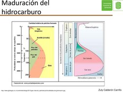 Maduración del
hidrocarburo
http://www.geologos.or.cr/contenidos/blogs/2013/gas-natural-y-petroleo/profundidades-de-generacio