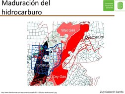 Maduración del
hidrocarburo
http://www.theinfomine.com/wp-content/uploads/2011/08/utica-shale-zones1.jpg
Zuly Calderón Carril