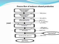 Process flow of molasses ethanol production
yeast

