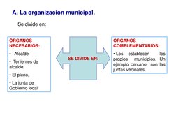A. La organización municipal.
Se divide en:
SE DIVIDE EN:
ÓRGANOS 
NECESARIOS: 
• Alcalde
• Tenientes de 
alcalde,
• El pleno