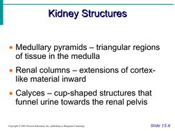 Kidney Structures
Kidney Structures
Slide 15.6
Copyright © 2003 Pearson Education, Inc. publishing as Benjamin Cummings
Medu