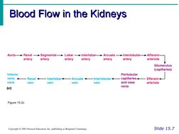 Blood Flow in the Kidneys
Blood Flow in the Kidneys
Slide 15.7
Copyright © 2003 Pearson Education, Inc. publishing as Benjami
