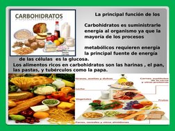 La principal función de los