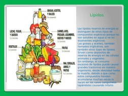 Lípidos  
Los lípidos reserva de energía se 
distinguen de otros tipos de 
compuestos orgánicos porque no 
son solub
