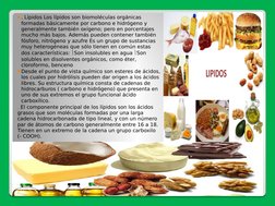 . Lípidos Los lípidos son biomoléculas orgánicas 
formadas básicamente por carbono e hidrógeno y 
generalmente también oxíge