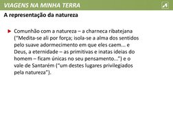 VIAGENS NA MINHA TERRA
Comunhão com a natureza – a charneca ribatejana 
(“Medita-se ali por força; isola-se a alma dos senti