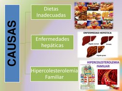 CAUSAS
Dietas 
Inadecuadas
Enfermedades 
hepáticas
Hipercolesterolemia 
Familiar

