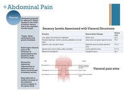 Acute Abdomen: Diagnosis and Management | PDF | Gastroenterology ...