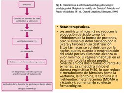• Notas terapéuticas. 
• Los antihistamínicos H2 no reducen la 
producción de ácido como los 
inhibidores de la bomba de prot