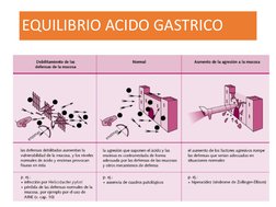 EQUILIBRIO ACIDO GASTRICO
