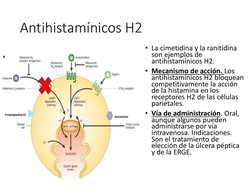 Antihistamínicos H2 
• La cimetidina y la ranitidina
son ejemplos de 
antihistamínicos H2. 
• Mecanismo de acción. Los 
antih