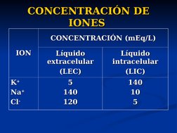 CONCENTRACIÓN DE 
CONCENTRACIÓN DE 
IONES
IONES  
ION
ION
CONCENTRACIÓN (mEq/L)
CONCENTRACIÓN (mEq/L)
Líquido 
Líquido 
extra