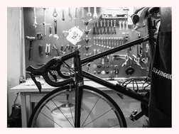 9
Anatomia da Bicicleta /
Como entender melhor a sua bike
