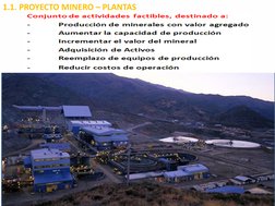 1.1. PROYECTO MINERO – PLANTAS  
