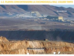 1.2. PLANTA CONCENTRADORA LA ESCONDIDA(Cu-Mo): 150,000 TMPD  
