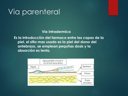 Via parenteral
Via intradermica
Es la introducciòn del farmaco entre las capas de la 
piel, el sitio mas usado es la piel del
