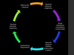 Isquemia
intestinal
progresiva
Pared  
intestinal y  
mesentérica  
comprimidas
Oclusión  
venosa y  
linfática,  
estasis ve