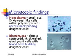 15.11.09 
Dr Ekta, Microbiology 
Microscopic findings  
Histoplasma – small, oval 
2- 4µ yeast like cells 
within polymorphs