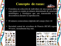 Concepto  de razas:
• Considera un colección de individuos de una especie dada,
cuyo punto es común en número determinado de