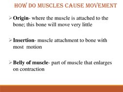 How Do Muscles Cause Movement
Origin- where the muscle is attached to the 
bone; this bone will move very little
Insertion-