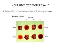 ¿QUÉ HACE ESTE PROFESIONAL ? 
1. Realiza análisis e informa resultados en el campo de la Inmunohematología 

