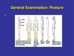 General Examination: Posture
• .
